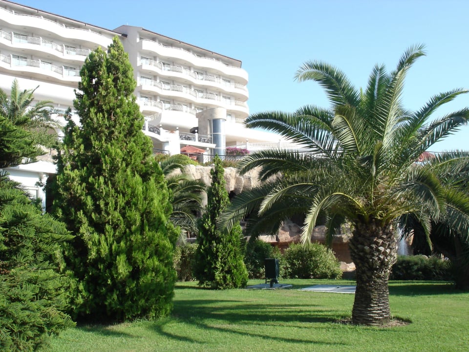 Starlight      Starlight Resort Hotel