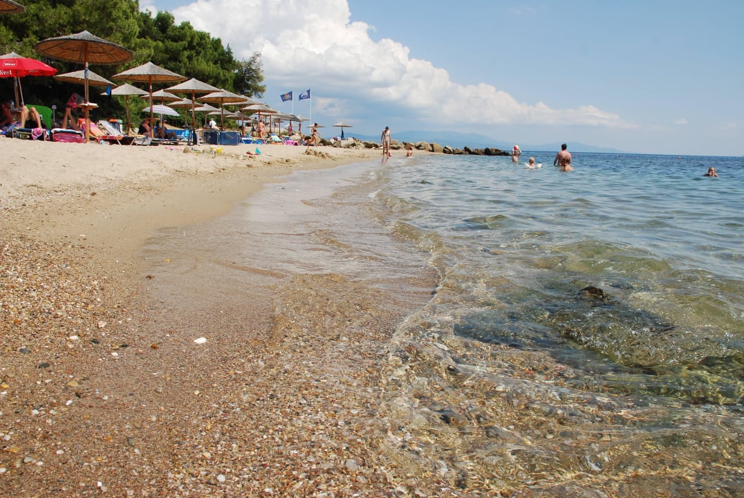 Strand in der Nähe der Poolbar Blue Dolphin Resort Hotel