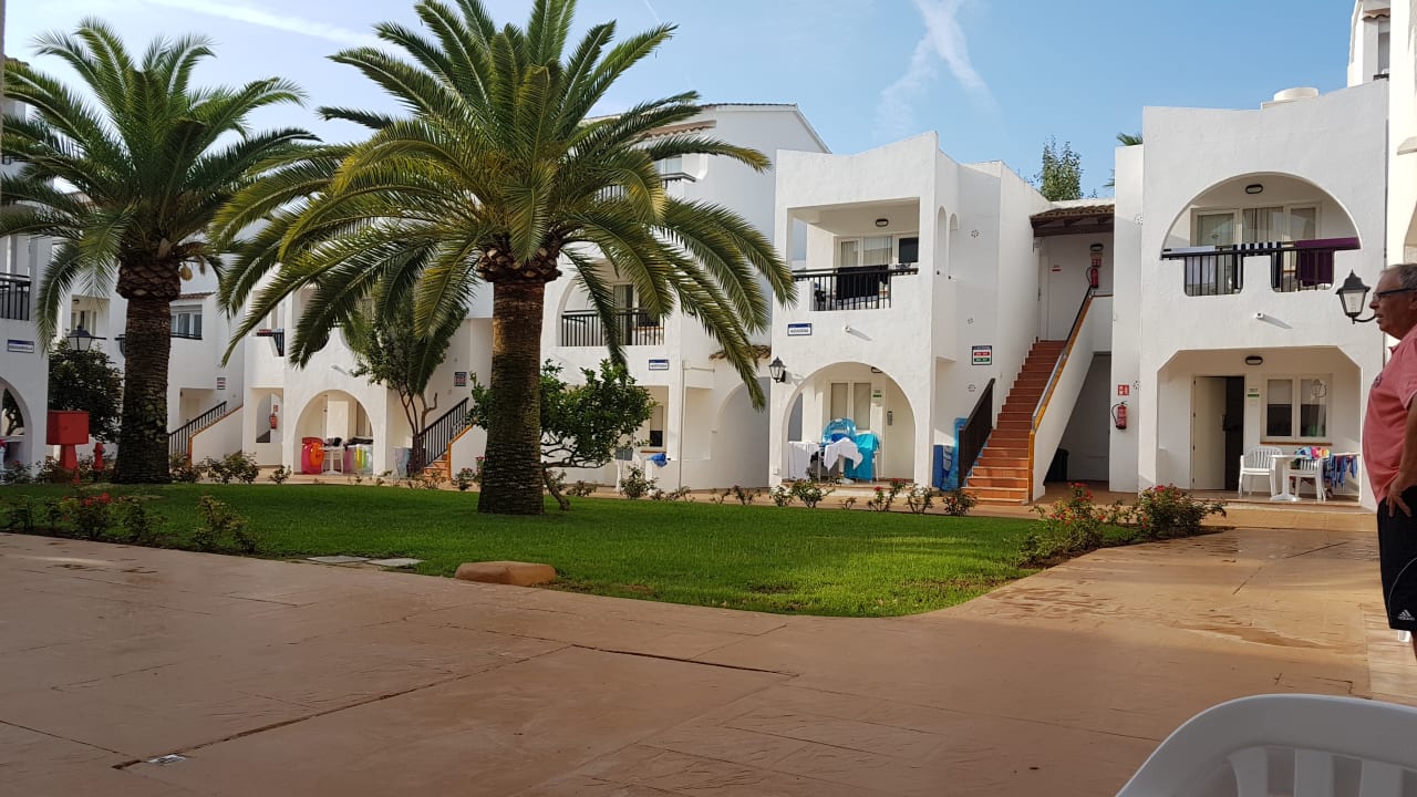 Gartenanlage Globales Bouganvilla