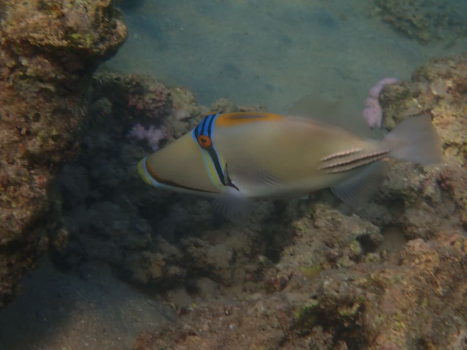 Strand Brayka Bay Resort