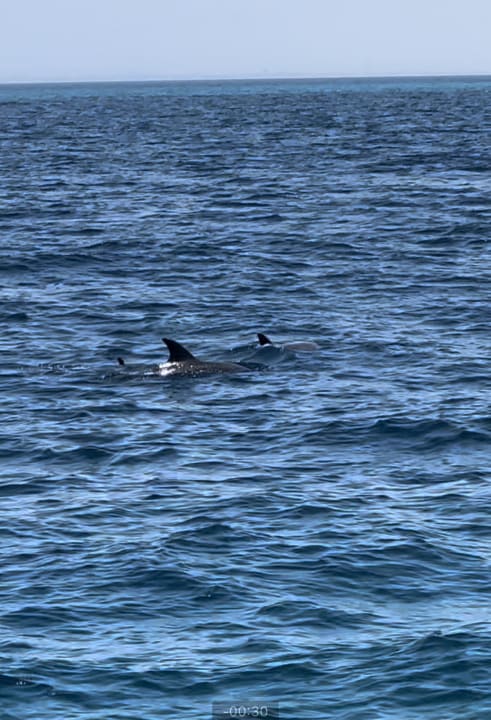 Sonstiges Cleopatra Luxury Resort Makadi Bay