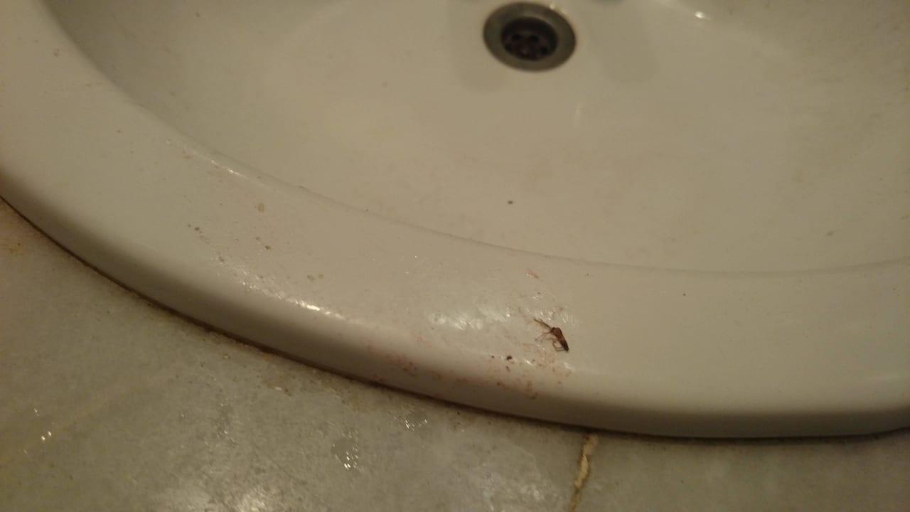 Dreckiges Waschbecken bei der Lobby Sunny Days Palma De Mirette Resort & Spa