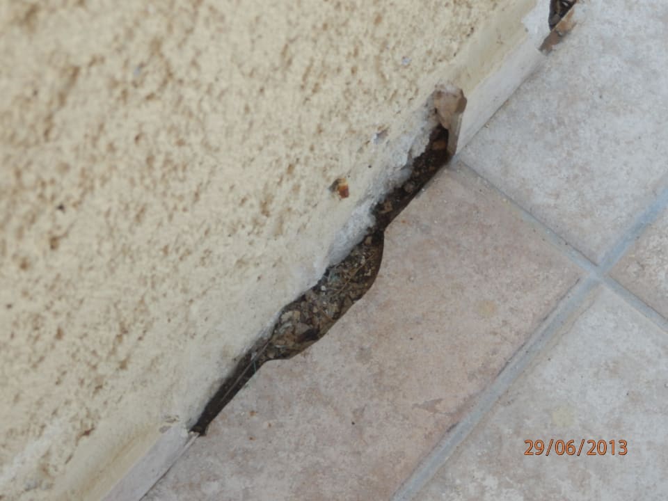 Pęknięte płytki przy basenie Vasia Sea Retreat