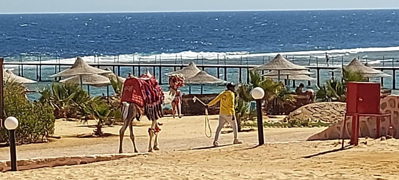 Strand Three Corners Happy Life Beach Resort