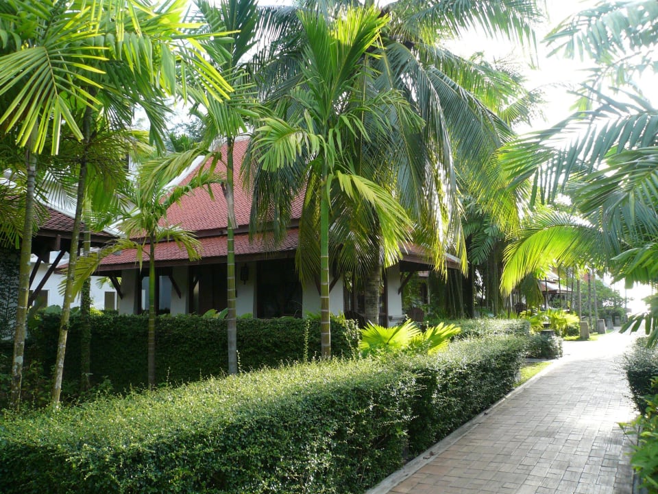 Weg zu Bungalows Khaolak Laguna Resort