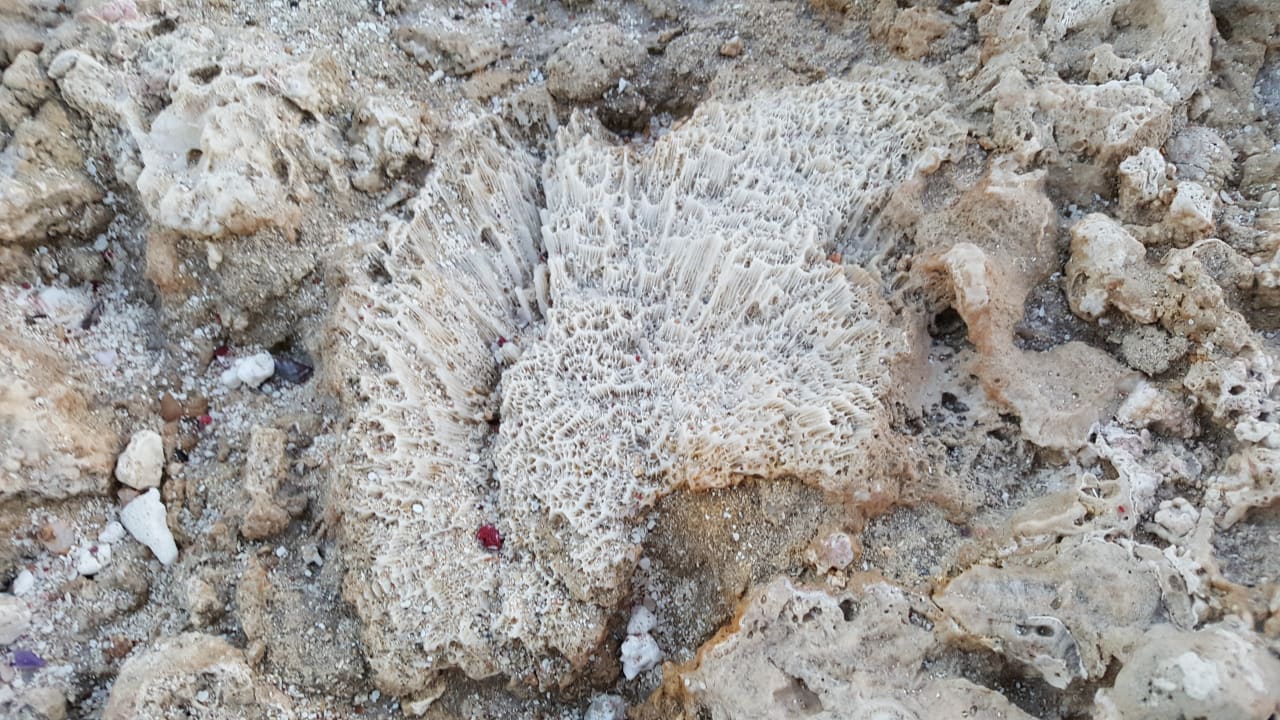 Strand Jaz Grand Marsa