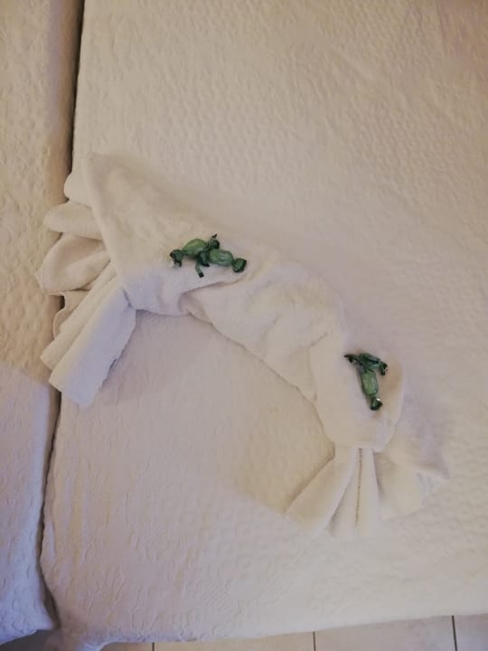 Zimmer Creta Star Hotel - Adults only