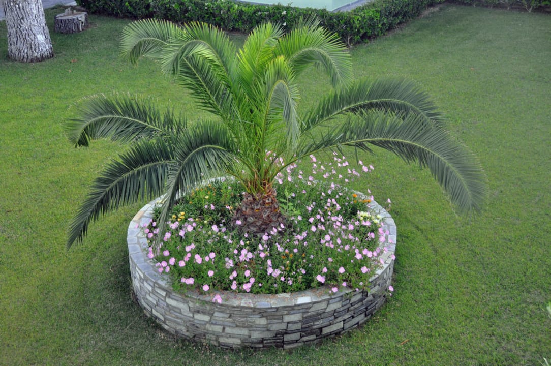 Vor unserem Zimmer Blue Dolphin Resort Hotel