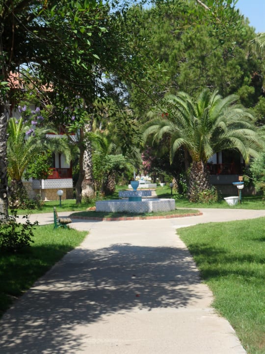 Schöne Allee Ali Bey Club