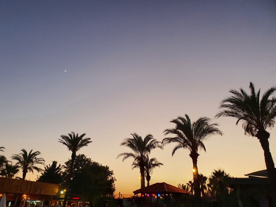 Gartenanlage TUI KIDS CLUB Felicia Village