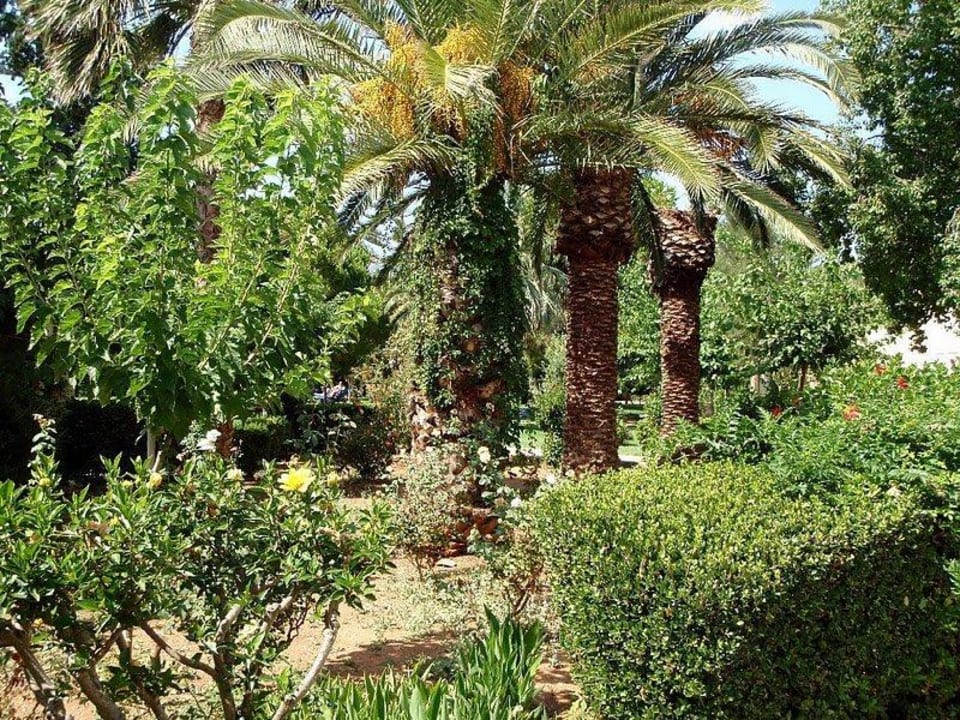 Teil der Gartenanlage Phãea Cretan Malia