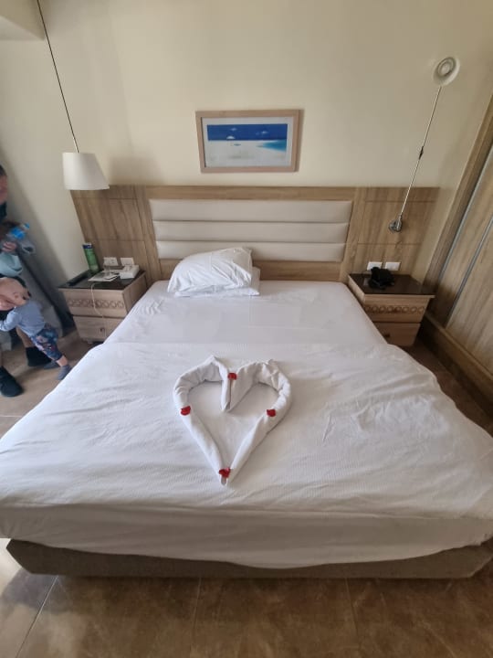 Zimmer Beach Albatros Resort