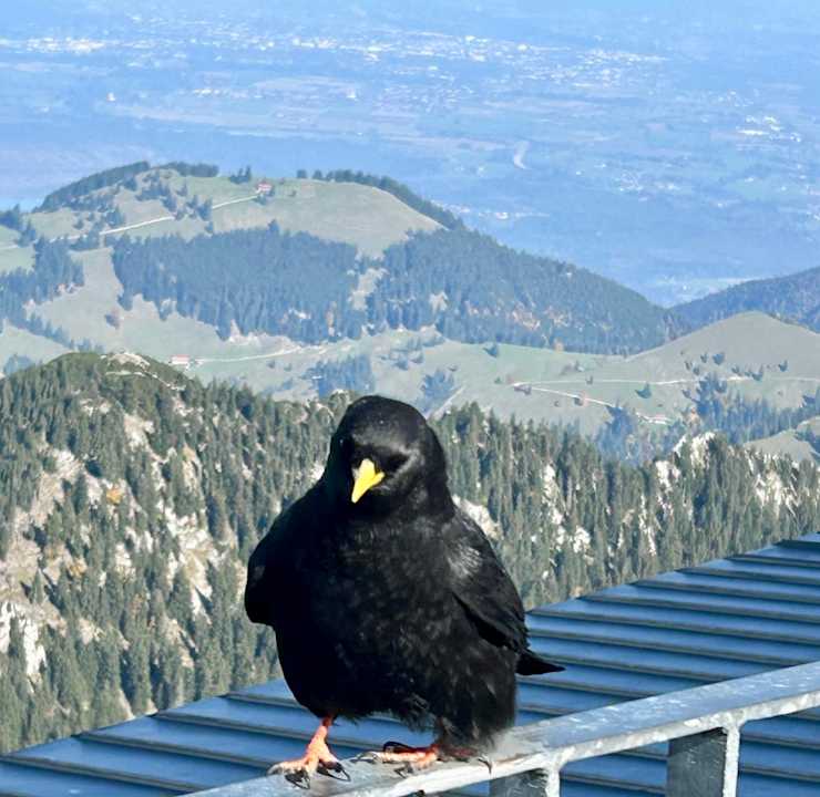 Sonstiges Das Bayrischzell Familotel Oberbayern