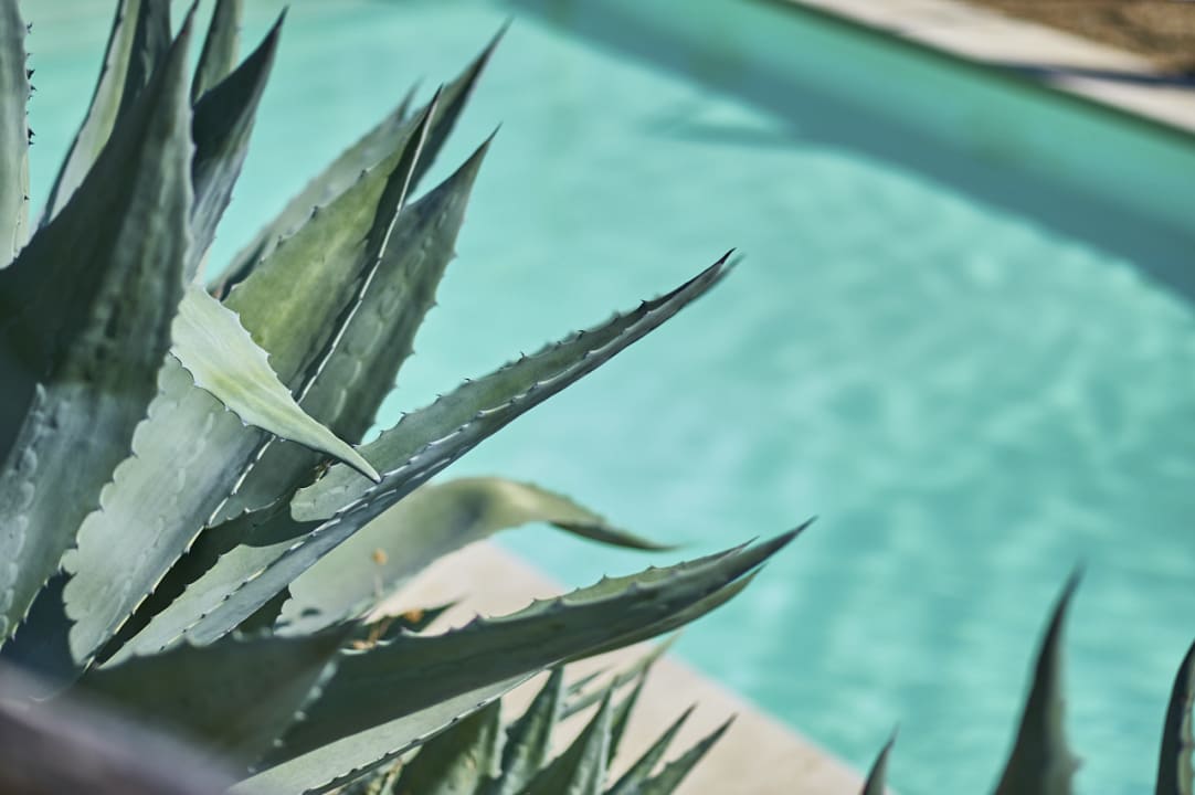 Pool Ventena Vecchia antico frantoio