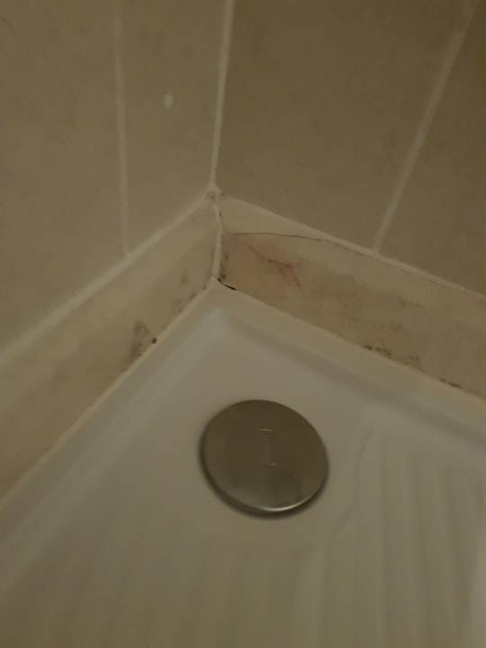 Zimmer Trendy Aspendos Beach Hotel