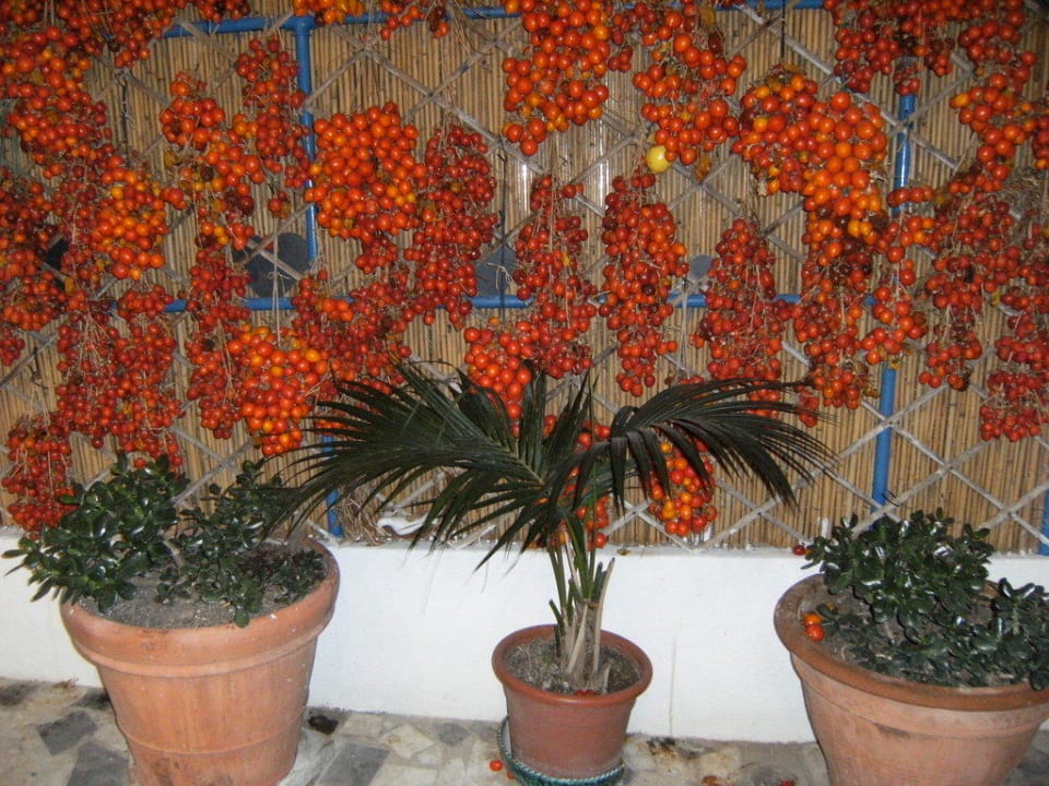 Schönes Motiv Villa Maria