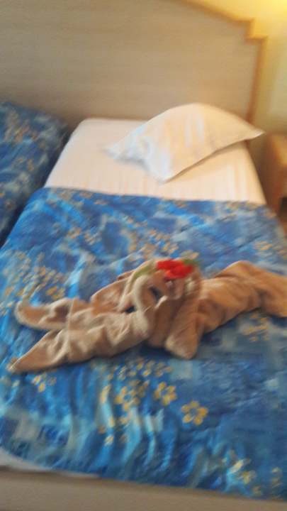 Zimmer Hotel Nesrine