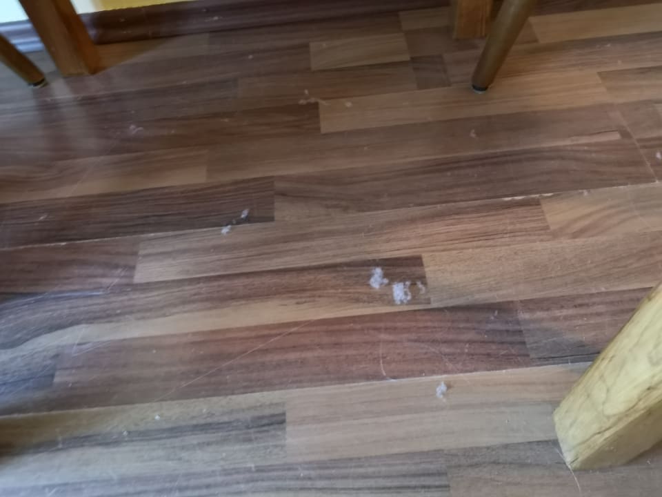 Zimmer Wildgatter Ferienappartements