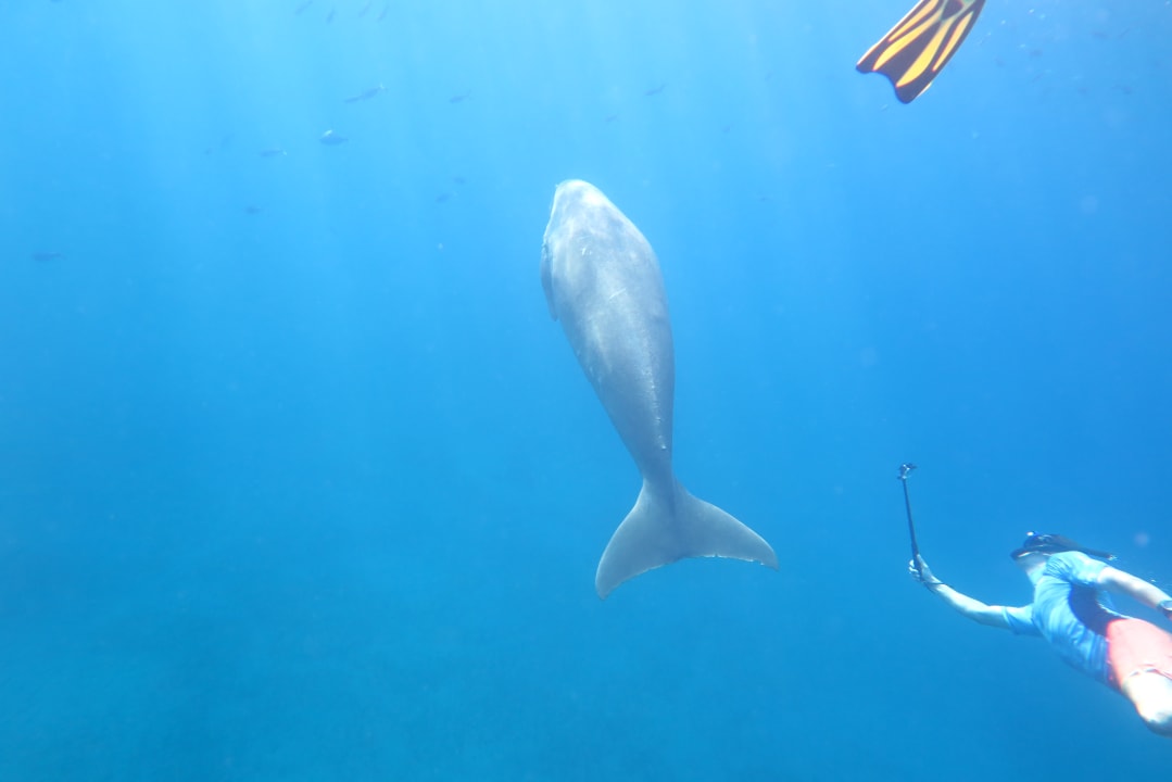 Sport & Freizeit Three Corners Equinox Beach Resort