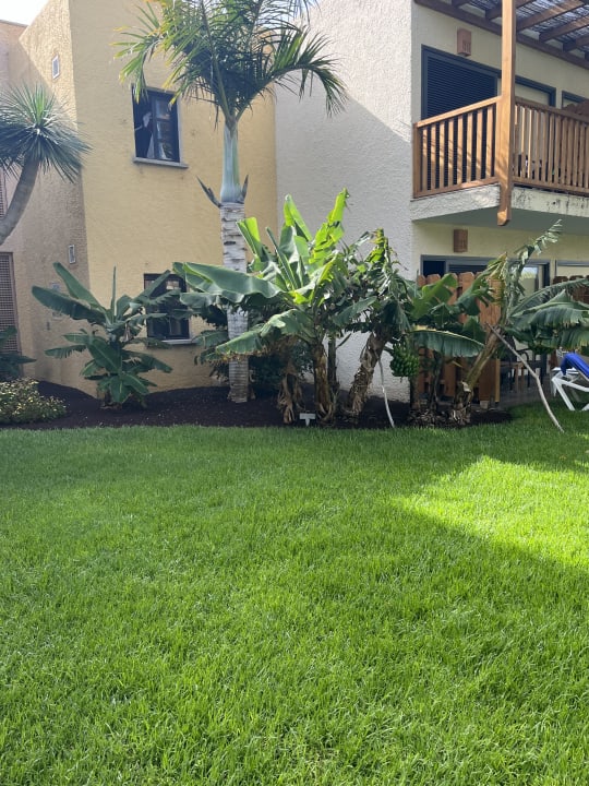 Gartenanlage ROBINSON JANDIA PLAYA