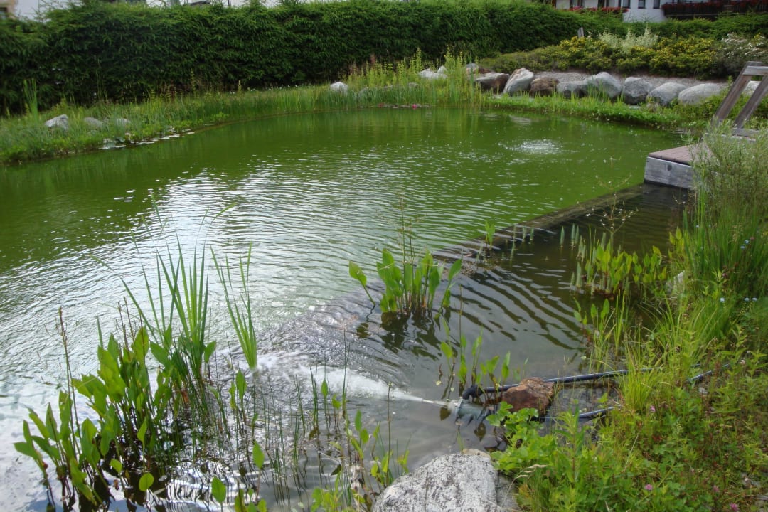 Schwimmteich mit Garten Ferienappartements Heinzle