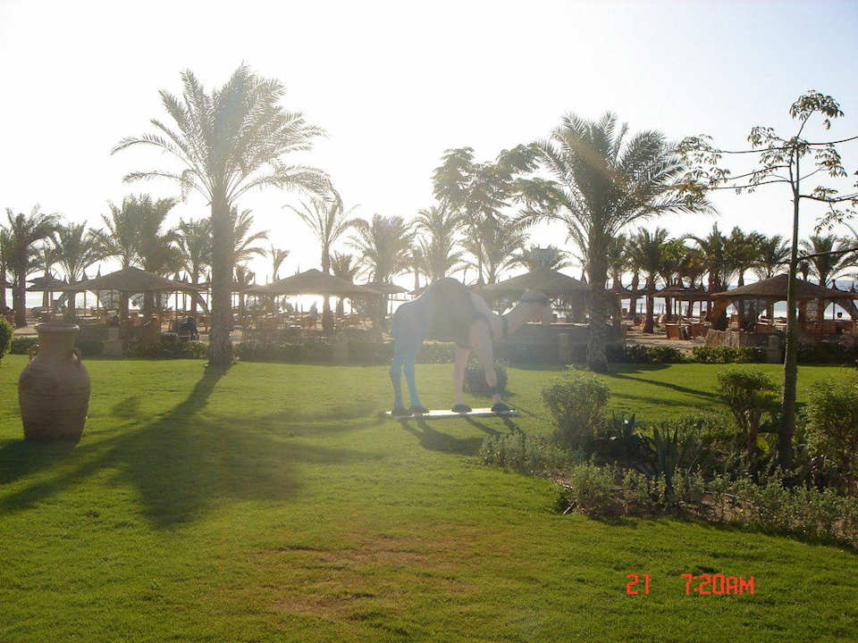 Teil des Gartens Pickalbatros Palace Resort