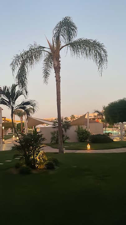 Ausblick Iberotel Casa Del Mar Resort