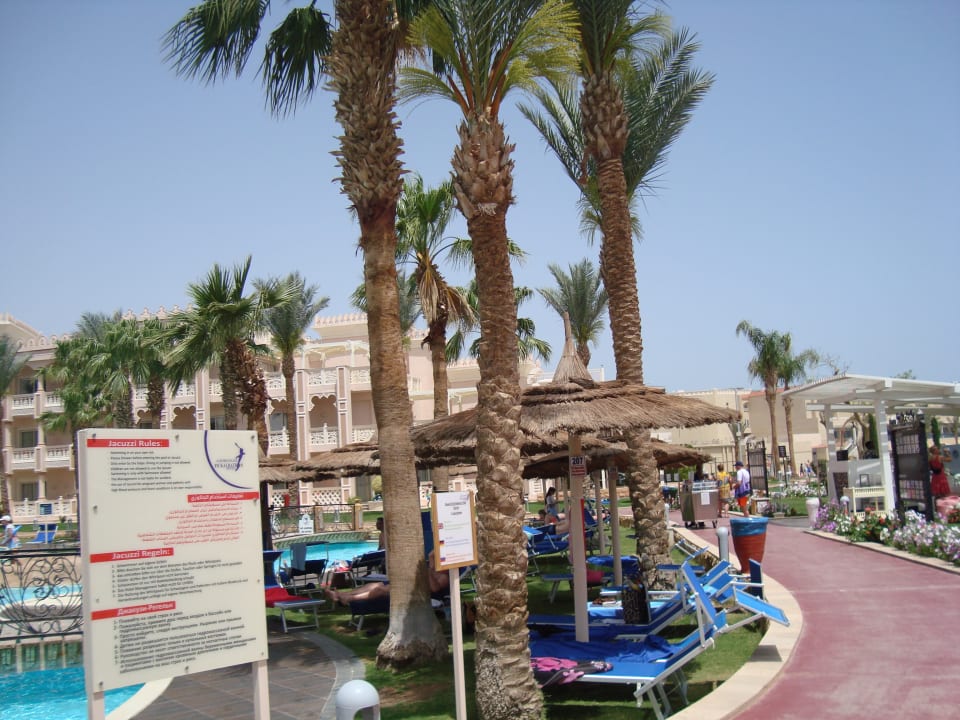 Pool Beach Albatros Resort