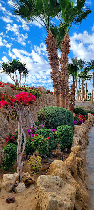 Gartenanlage Pickalbatros Citadel Resort