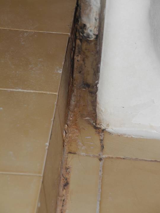 Bad Rivijera Villen & Dependance Flora & Madera