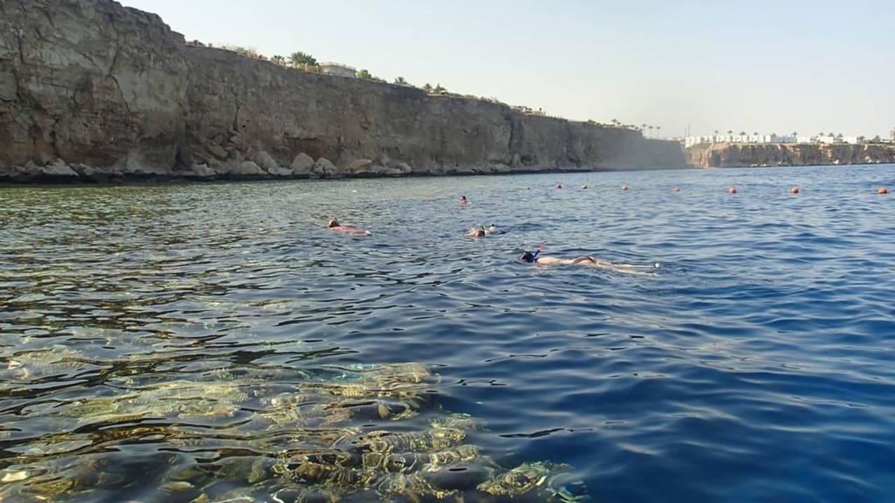 Snurkowanie Dreams Vacation Resort