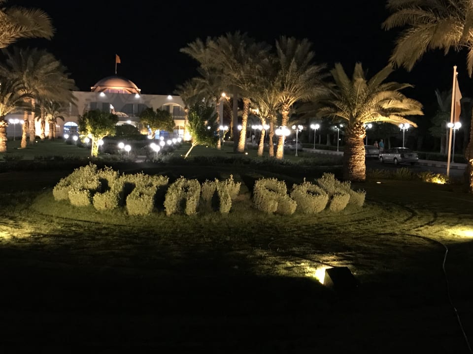 Gartenanlage Desert Rose