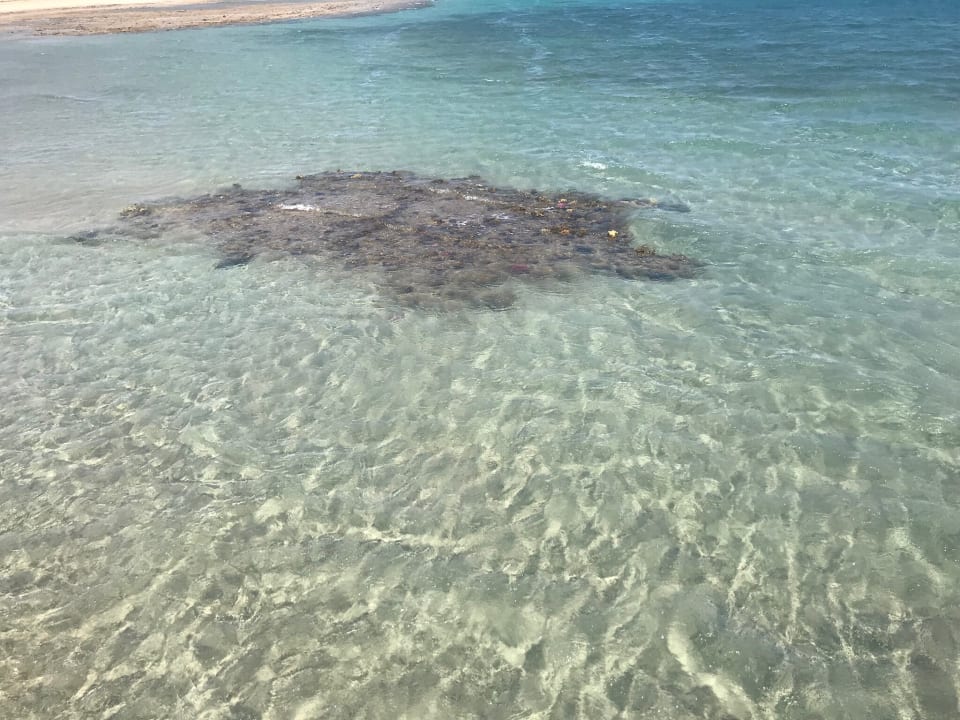 Strand Baron Palace Sahl Hasheesh