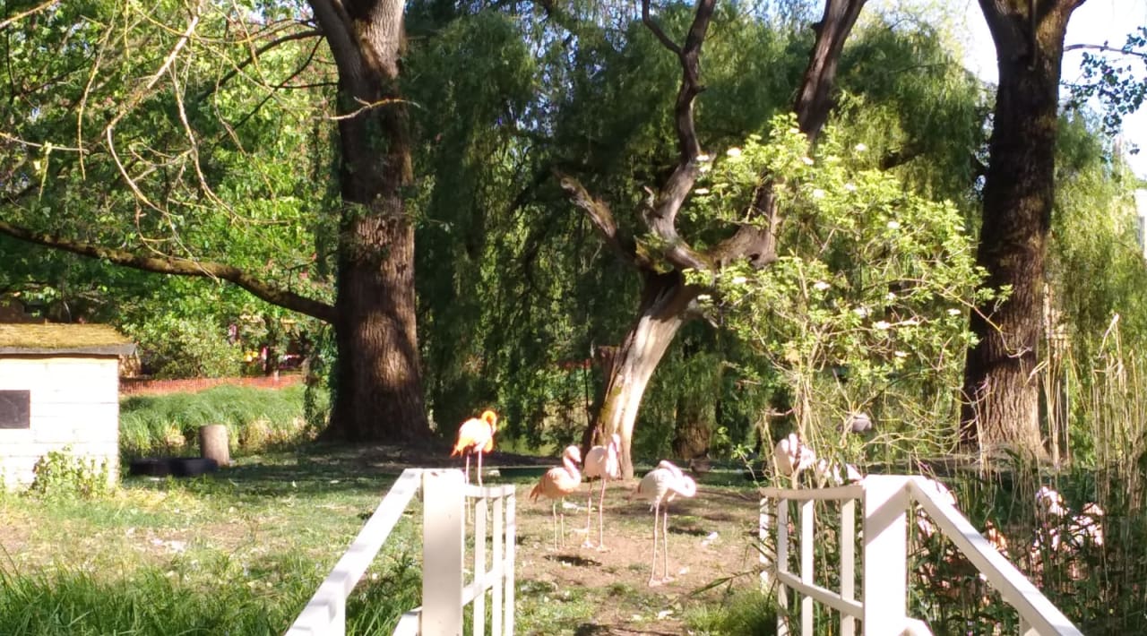 Sport & Freizeit Safariland Stukenbrock Erlebnisresort