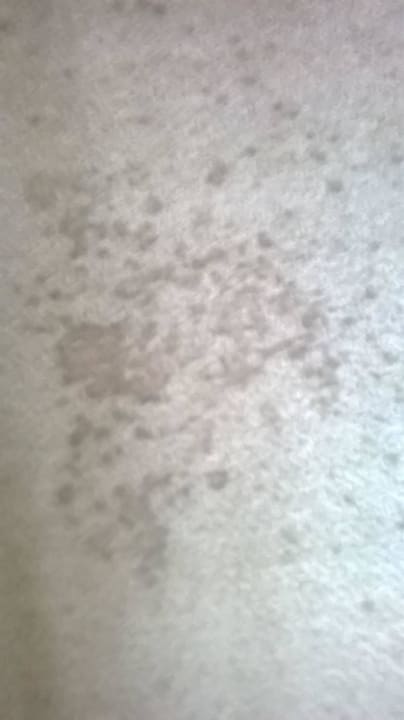 Einer von vielen Flecken im Teppichboden Hotel Lochmühle