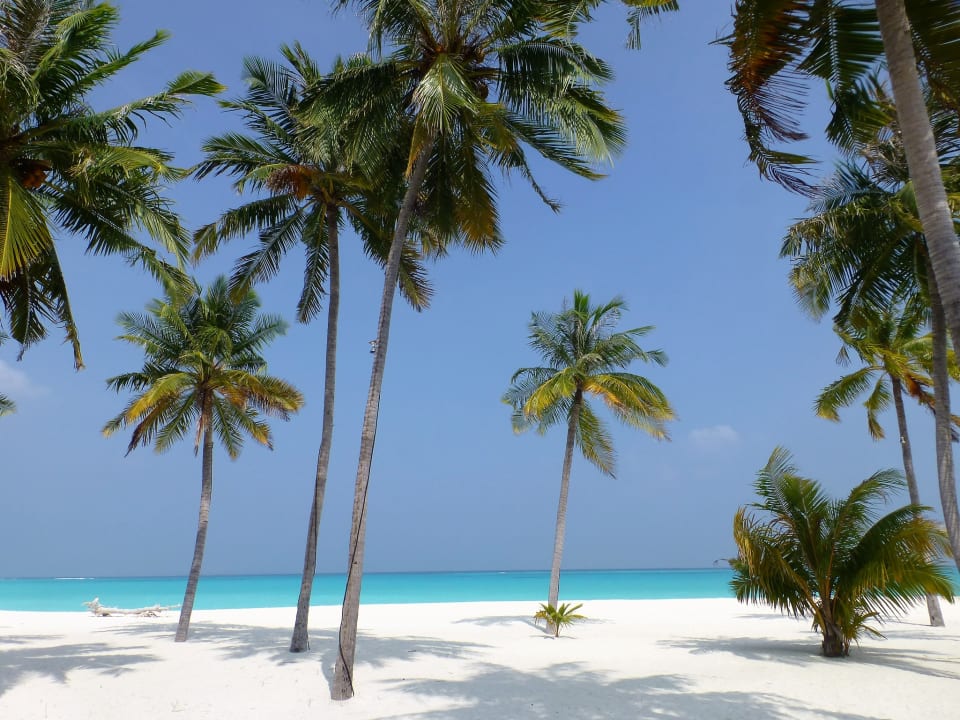 Strand Hondaafushi Island Resort