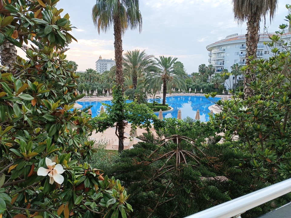 Pool Seaden Sea World Resort & Spa