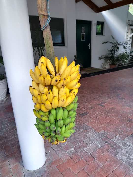 Lobby Hanneman Holiday Residence