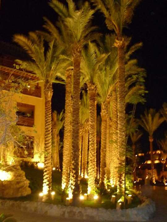 Palmen vorm Hotel Makadi Palace