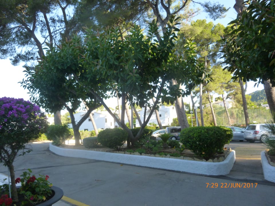 Gartenanlage Hipotels Eurotel Punta Rotja Golf & Spa