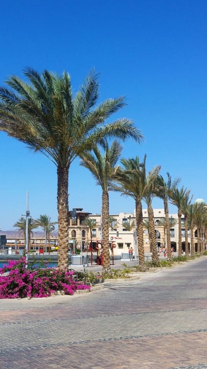 Sonstiges Marina Resort Port Ghalib, a member of Radisson Individuals