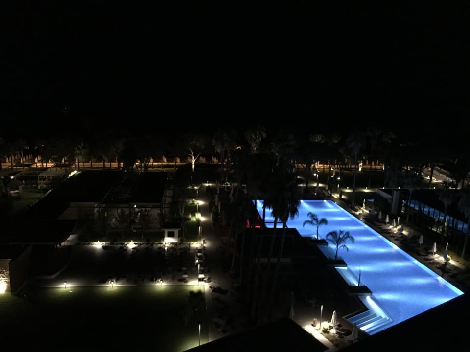 Pool Acanthus Cennet Barut Collection