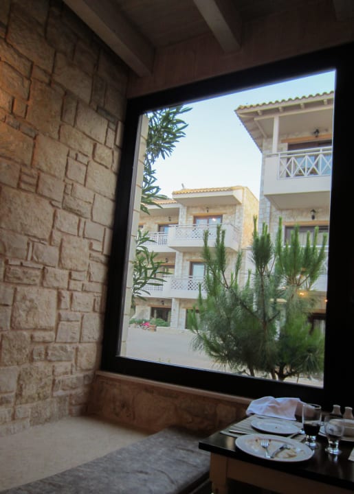 Gemütlich! Cactus Royal