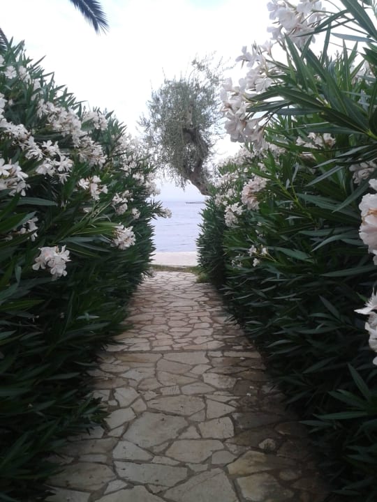 Weg zum Strand Elea Beach Hotel
