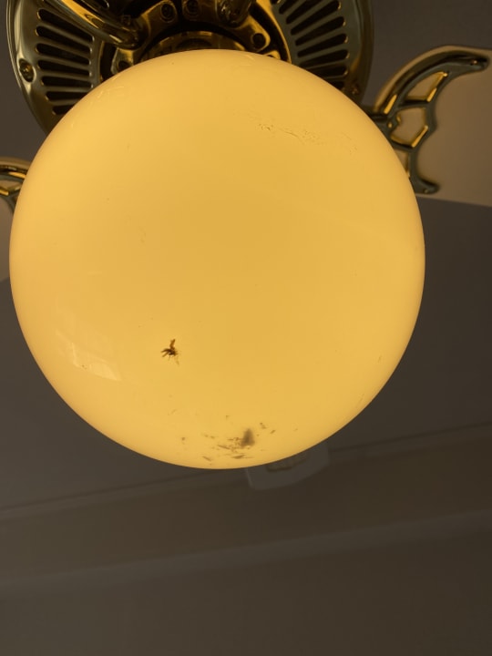 Zimmer Sandy Beach Resort