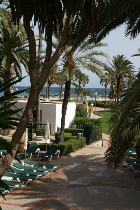 Hotelanlage und Meer allsun Hotel Bahia del Este