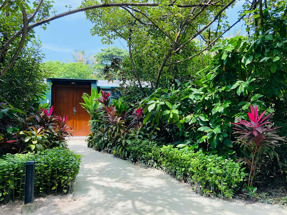 Gartenanlage Ifuru Island Resort Maldives