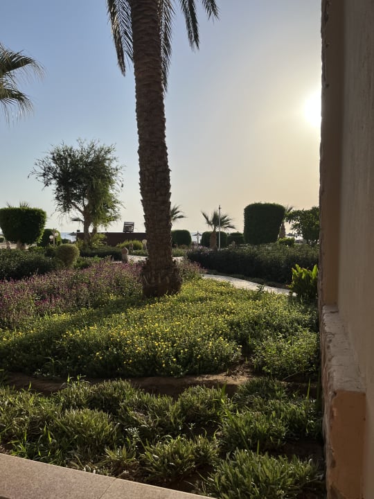 Ausblick Shams Alam Beach Resort