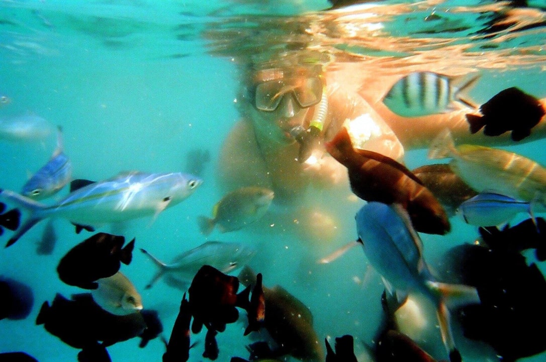 Podmorsky svet Xanadu Club Makadi Bay