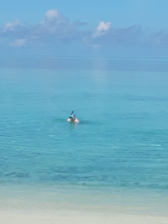 Strand Cocoon Maldives